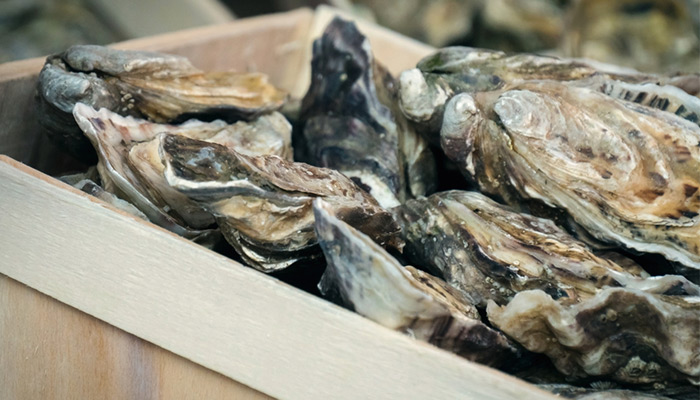 Vente d'huîtres directement sur les marchés près de Noirmoutier, Beauvoir-sur-mer et Port du bec 